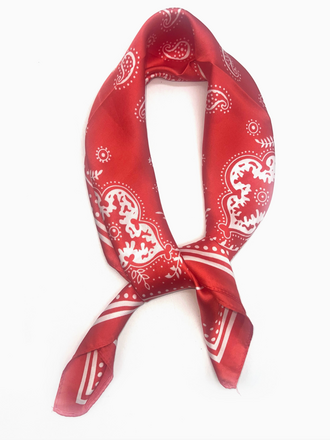 Lineta Small Silky Bandana- Multiple Colors