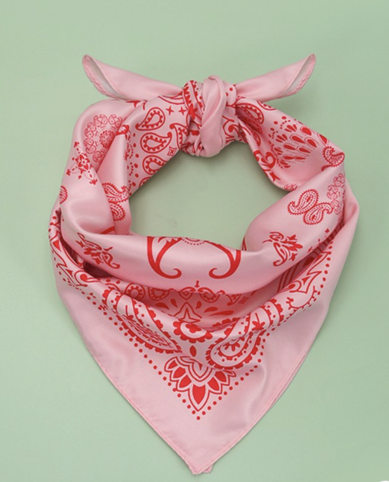 Joss Wall Paisley Silky Bandana