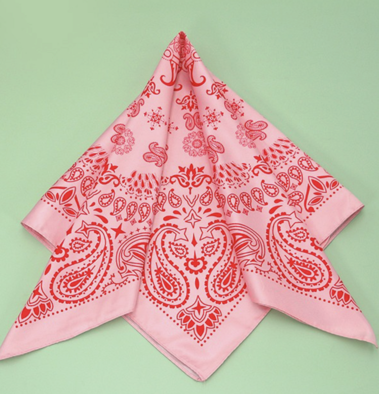 Joss Wall Paisley Silky Bandana
