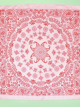 Joss Wall Paisley Silky Bandana