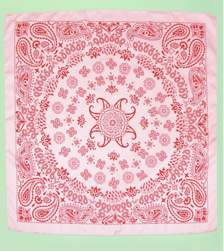 Joss Wall Paisley Silky Bandana