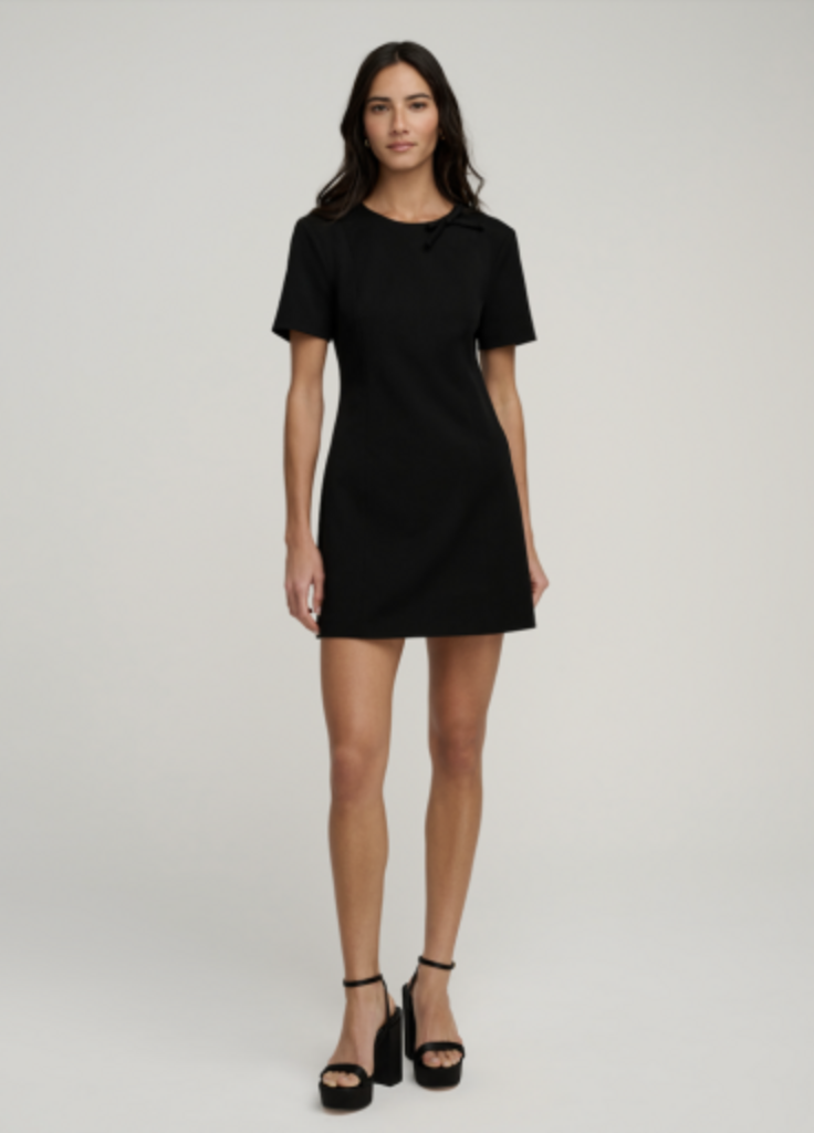 Favorite Daughter The Cherie Mini Dress