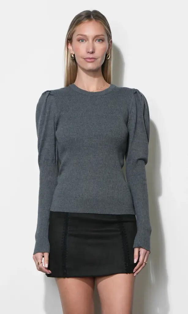 Greylin Renoa Puff Sleeve Ribbed Knit Top