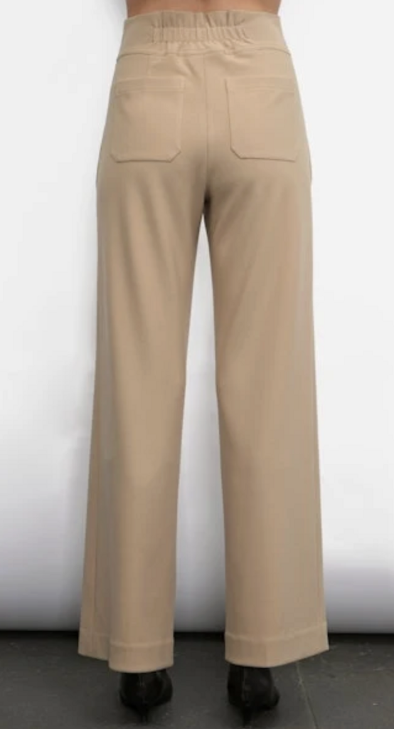 Greylin Silvie Relaxed wide leg pant