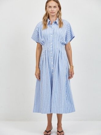 Place Showroom aster striped shirtdress