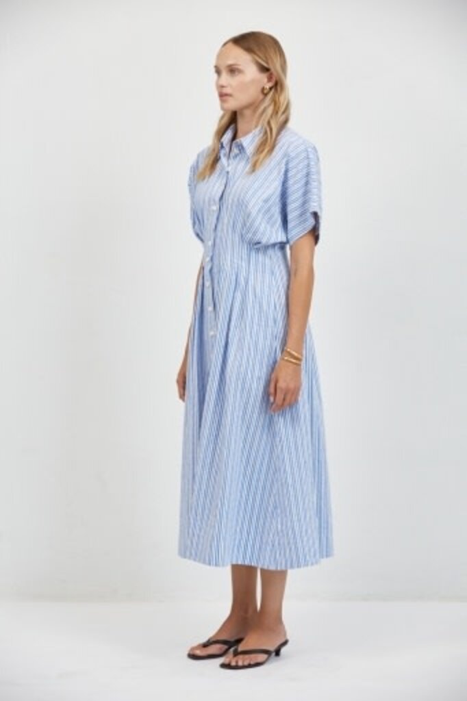 Place Showroom aster striped shirtdress