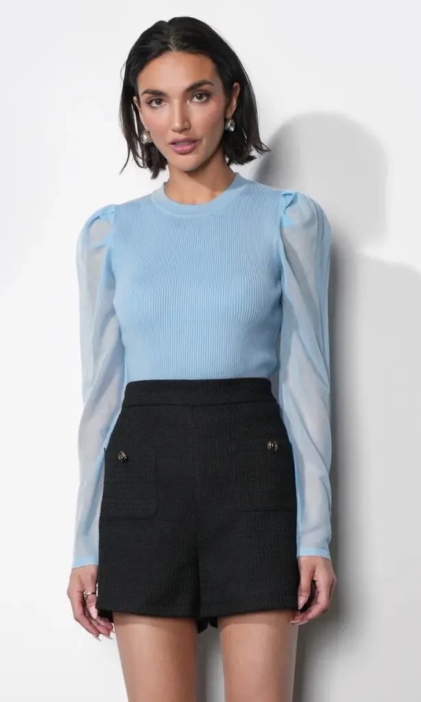 Greylin Honey Sheer Sleeve Sweater Top