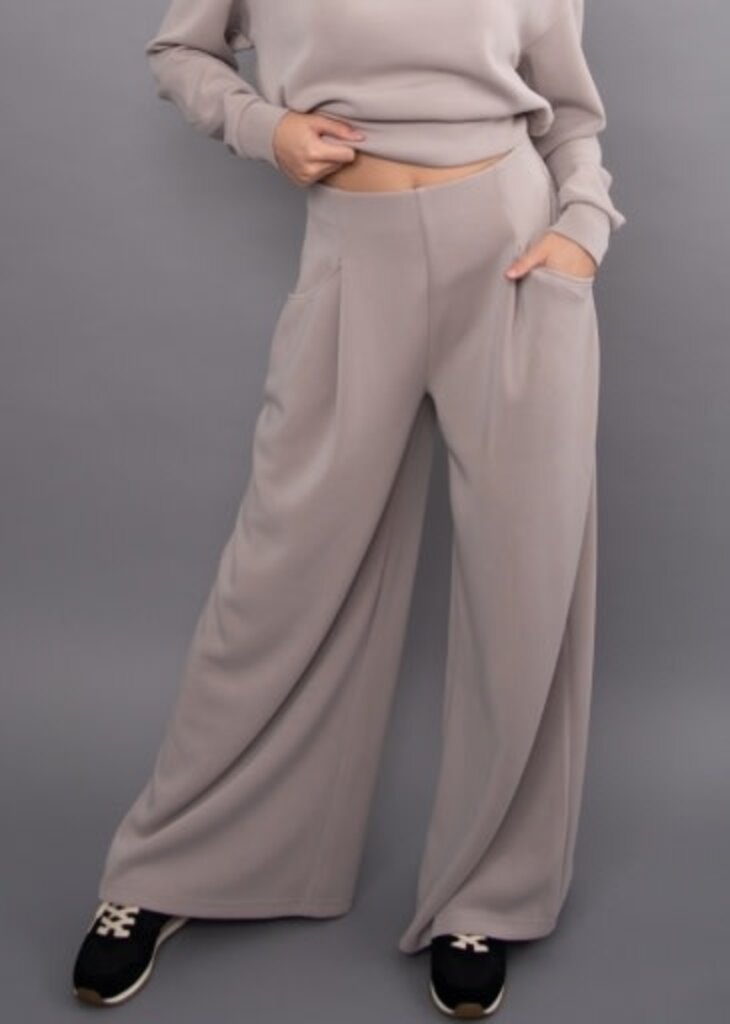 RD STYLE | HEDGE CARESSA SOFT KNIT PULL ON WIDE LEG PANT W/ PLEATS-BIRCH