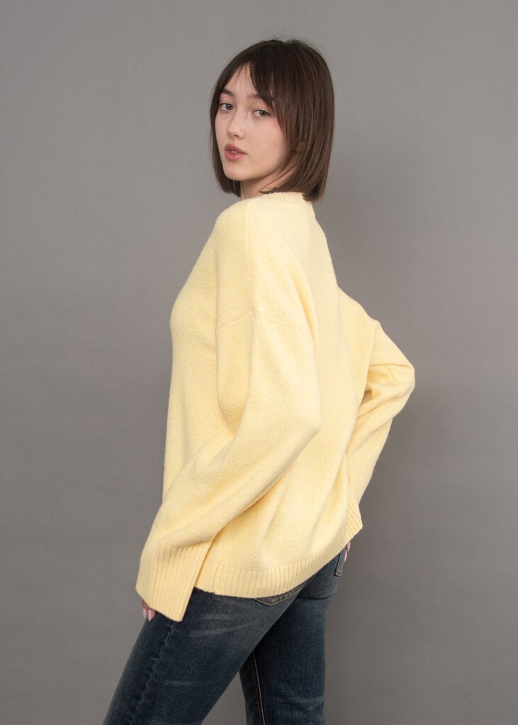 RD Style Noomi Pull-Over Sweater