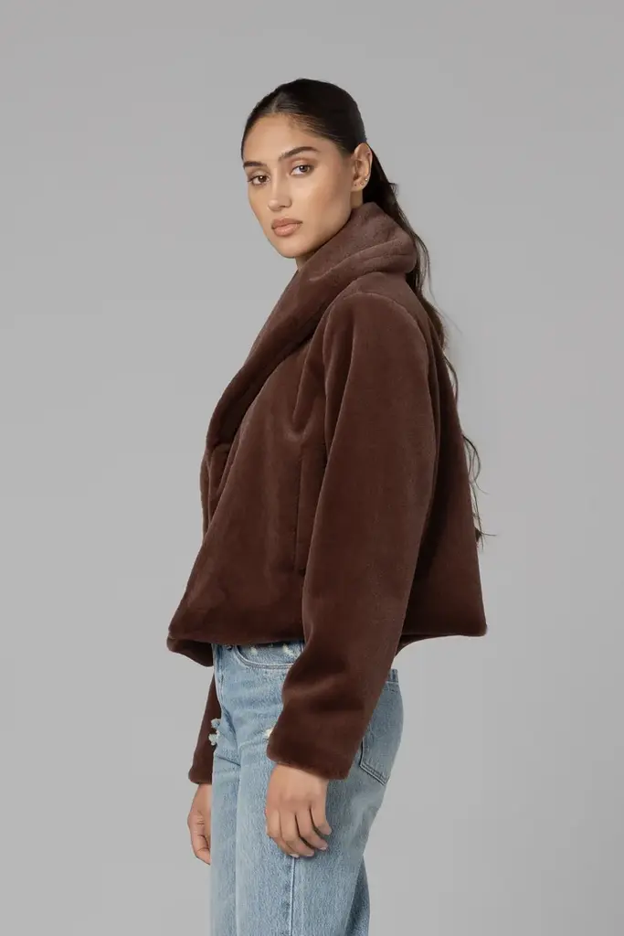 BlankNYC Collarless Fur Jacket