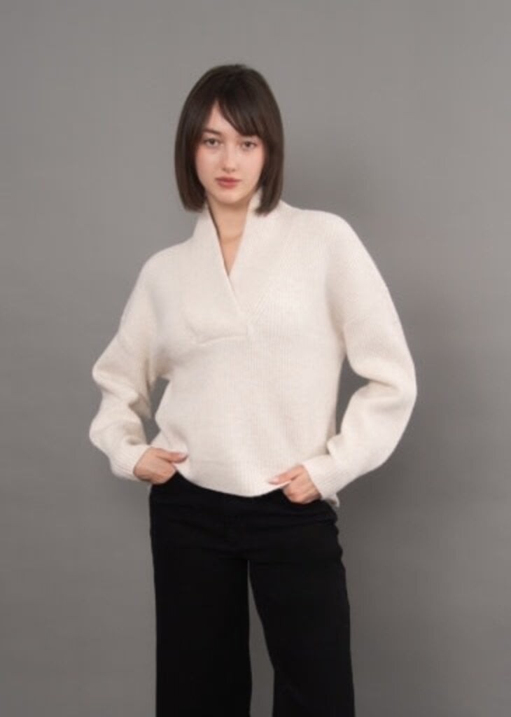 RD STYLE | HEDGE Quinlan Shawl Collar Sweater