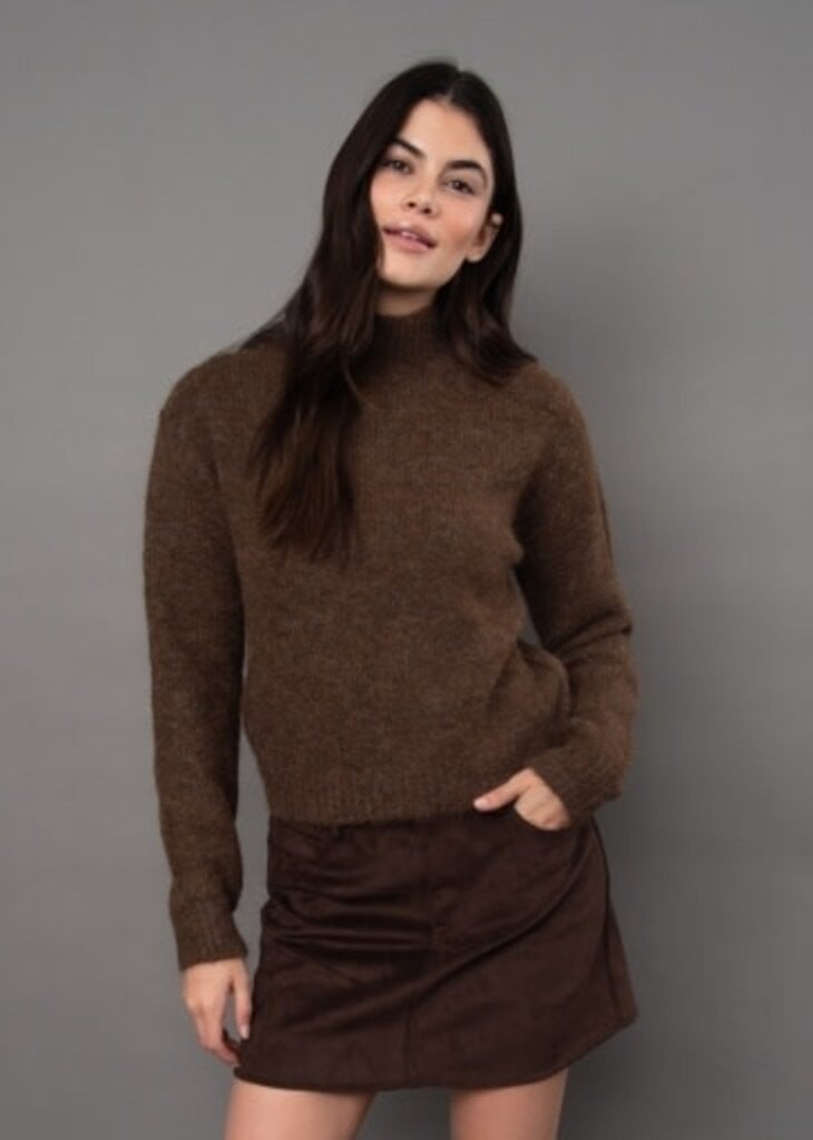 RD STYLE | HEDGE Erin Turtleneck Pullover Sweater