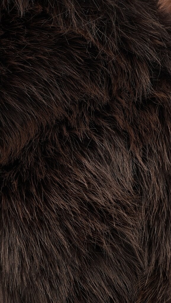 BlankNYC Steady Rise Coat