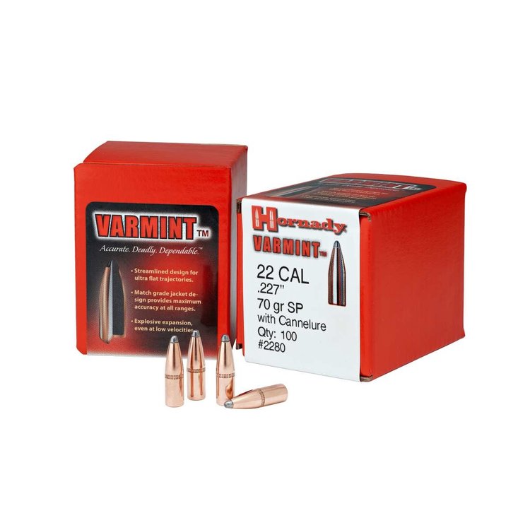 HORNADY HORNADY 22Cal .224 DIA 45GR HP  BEE BULLETS  100PK