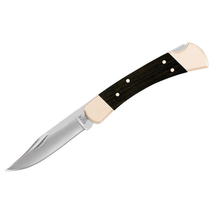 BUCK KNIVES BUCK 110 FOLDING KNIFE WITH SHEATH HUNTER