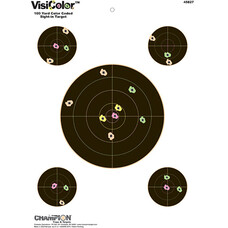 CHAMPION CHAMPION VISICOLOR  SIGHT IN 100yd 1X8" & 4X3"