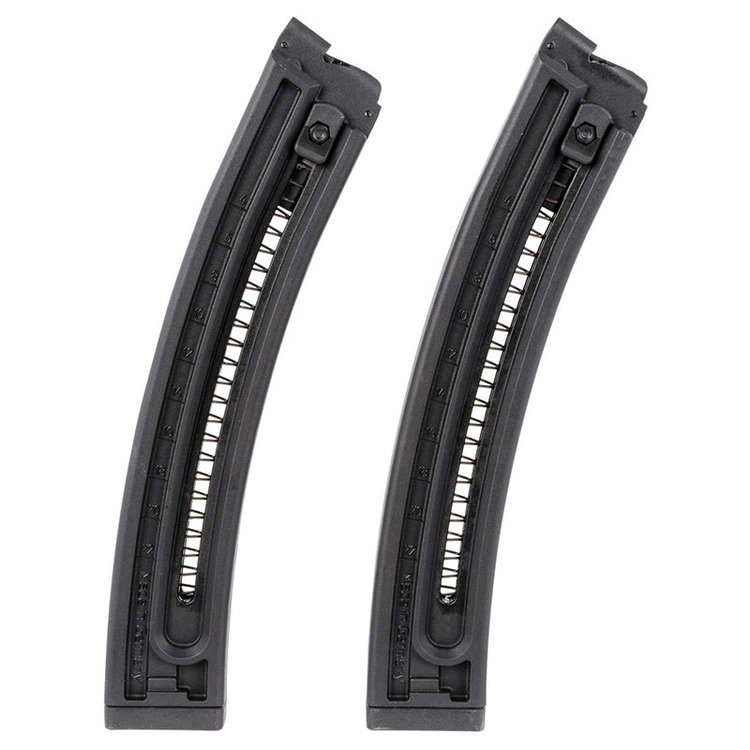 GSG-16 22LR 22 ROUND MAGAZINE TWIN PACK