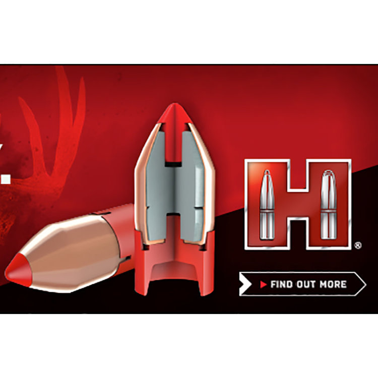 HORNADY HORNADY 50CAL .499 DIA  290GR BORE DRIVER FTX BULLETS 20PK