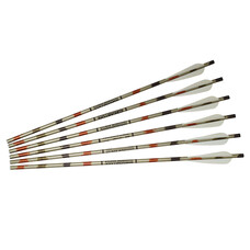 EXCALIBUR ALUMINUM ARROWS Ð (6 PACK)