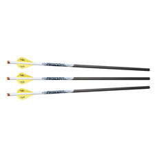 EXCALIBUR PROFLIGHTª 16.5_ ILLUMINATED CARBON ARROWS Ð 3 PACK