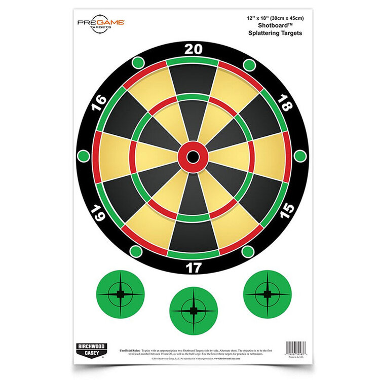 BIRCHWOOD CASEY DIRTY BIRD DARTBOARD TARGET 8/