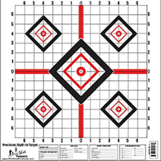 PRO-SHOT PRO SHOT PRECISION SIGHT IN TARGET 16"X16" 10/PKG