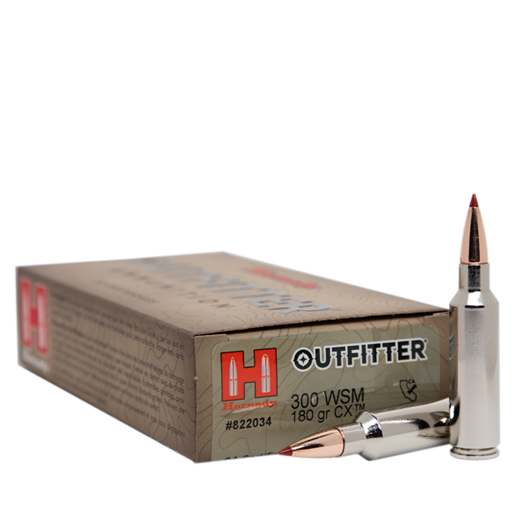 HORNADY HORNADY 300WSM 180 GR CX OTF