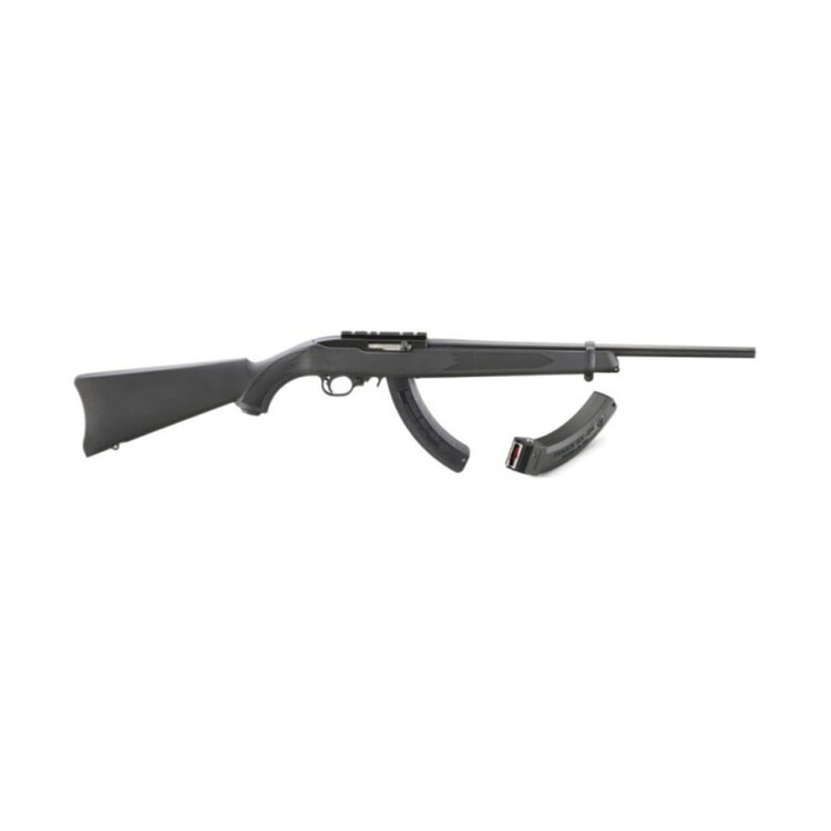RUGER 10/22 CARBINE SEMI AUTO 22LR 18.5" BARREL WITH 2 PINNED MAGAZINES