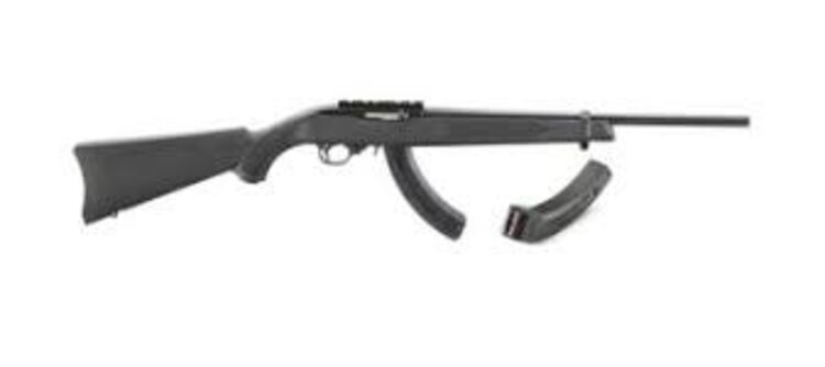 RUGER 10/22 CARBINE SEMI AUTO 22LR 18.5" BARREL WITH 2 PINNED MAGAZINES