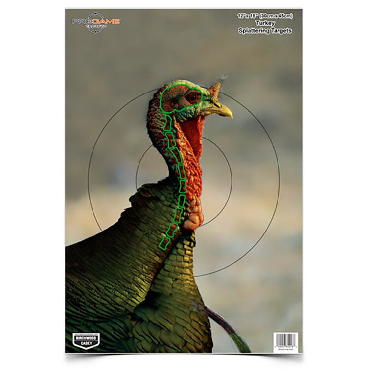 BIRCHWOOD CASEY BIRCHWOOD CASEY PREGAME TURKEY 12X18 TARGET 8/PK