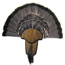 HUNTERS SPECIALTIES HS STRUT TURKEY MOUNT 00849