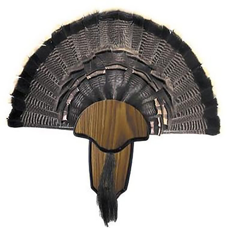 HUNTERS SPECIALTIES HS STRUT TURKEY MOUNT 00849