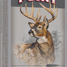 WINCHESTER  6.8 WESTERN 170GR POWER-POINT 20/PK