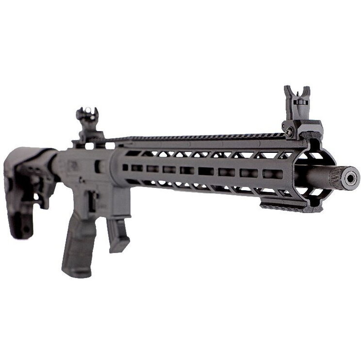 DERYA DERYA TM22 FLASH, 22LR, SEMI AUTO, RIFLE, 18″ BARREL BLACK