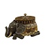 Cayen Collection Brass Tiger Penshell Elephant Box