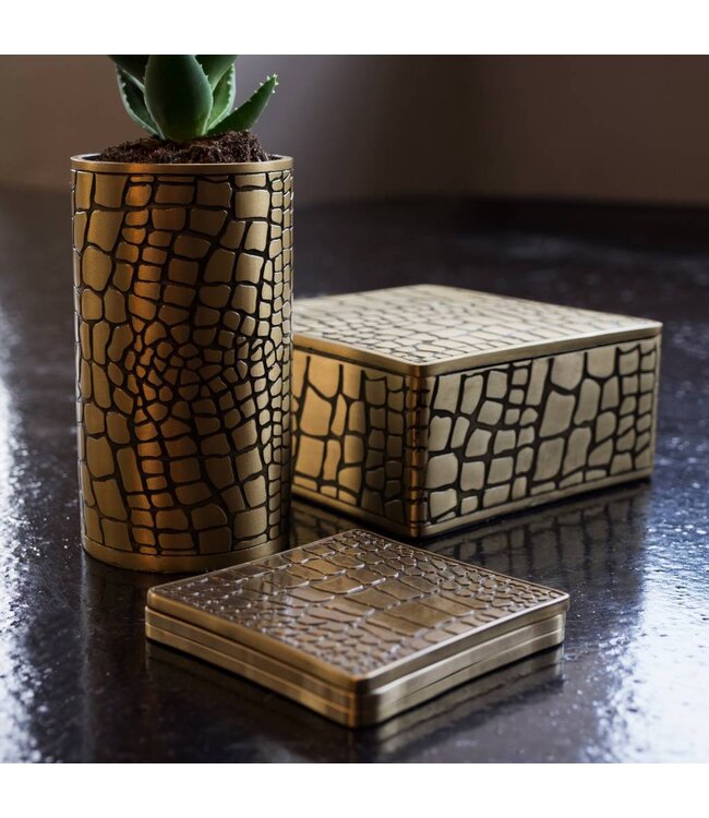 L’Objet Crocodile Square Box