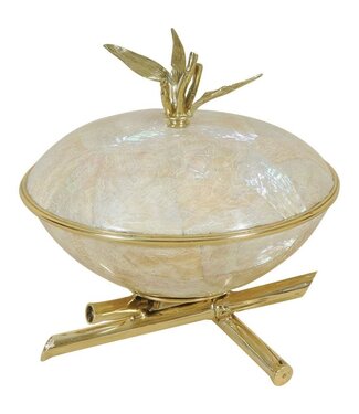 Cayen Collection Bamboo motif White Oyster Shell Bowl with Lid