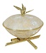 Cayen Collection Bamboo motif White Oyster Shell Bowl with Lid