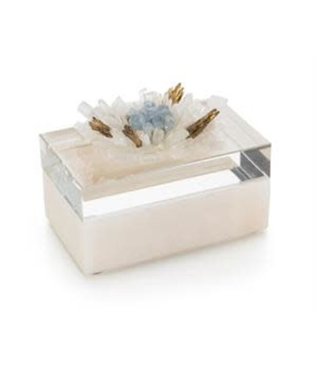 Cayen Collection Festooned in Stones Box - Celestite