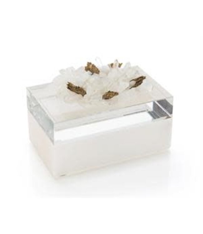 Cayen Collection Festooned in Stones Box - Rock Crystal
