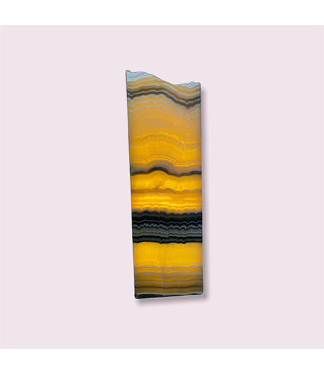 Cayen Collection Zebra Aragonite Prism Lamp rustic edge
