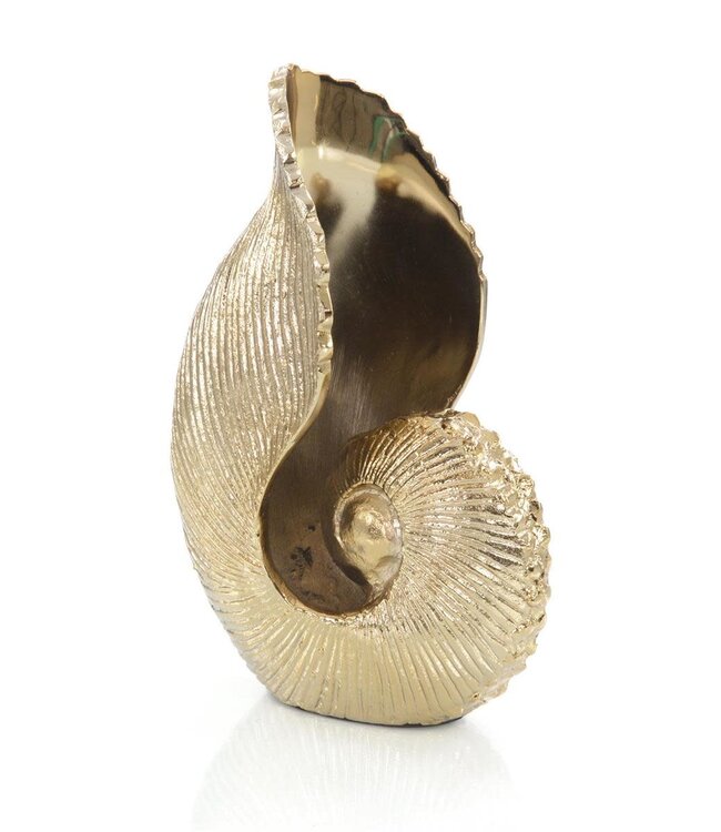 Cayen Collection Nautilus Seashell Brass Sculpture