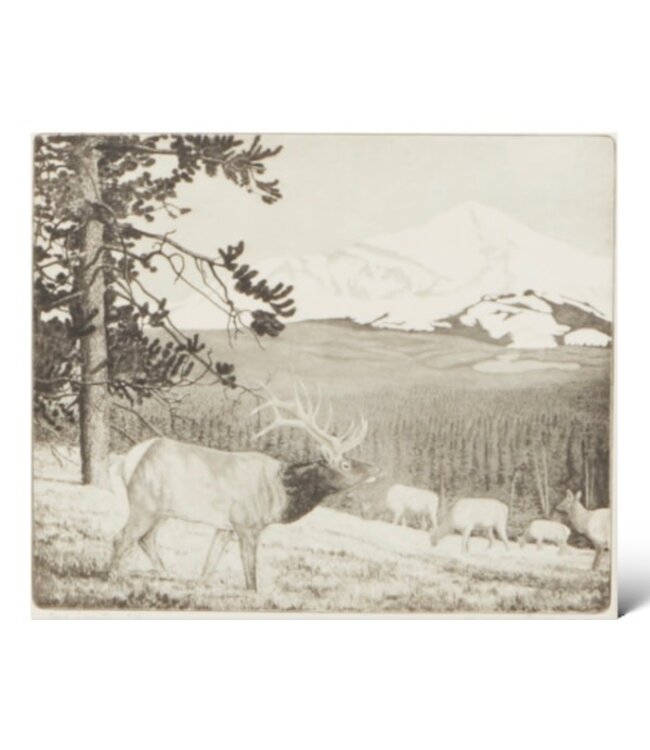 Cayen Collection Big Country: Walter Bohl titled, edition and signed Etching on wove paper - 10 x 12