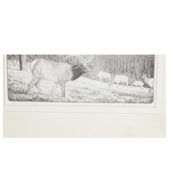 Cayen Collection Big Country: Walter Bohl titled, edition and signed Etching on wove paper - 10 x 12