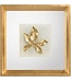 John - Richard Mountain Laurel Leaf On Alabaster Wall Art