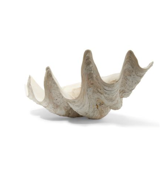 Cayen Collection Natural  giant clam shell