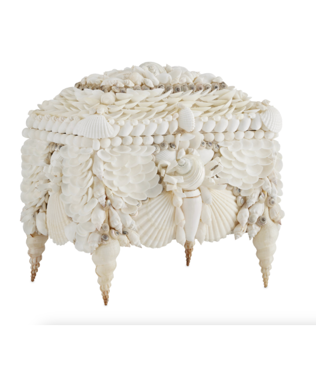 Currey & Co Boardwalk White Shell Jeweley Box