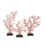 Cayen Collection Large Red Coral Branches Set of 3