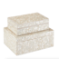 Cayen Collection Gerri Dot Box Large