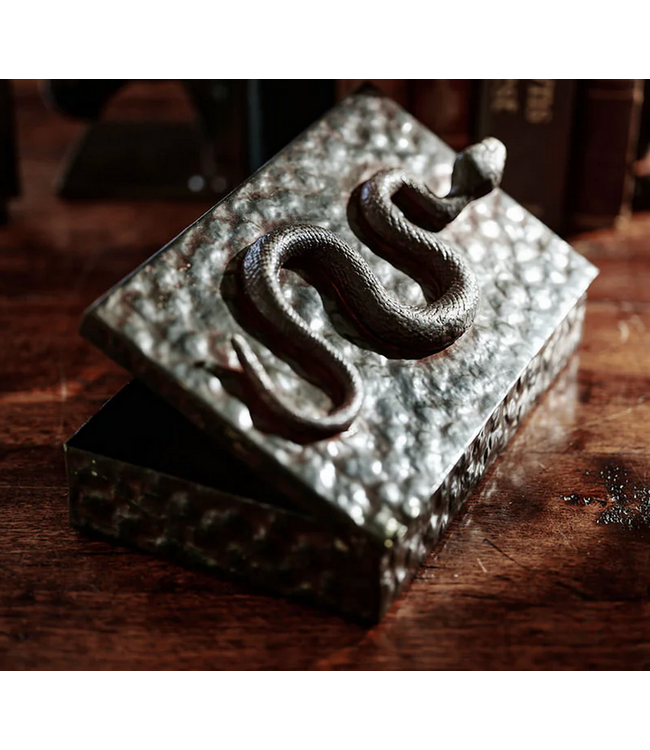 Jan Barboglio Nagini Serpent Box